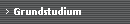 Grundstudium